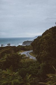 Road winds through California coastline landscape